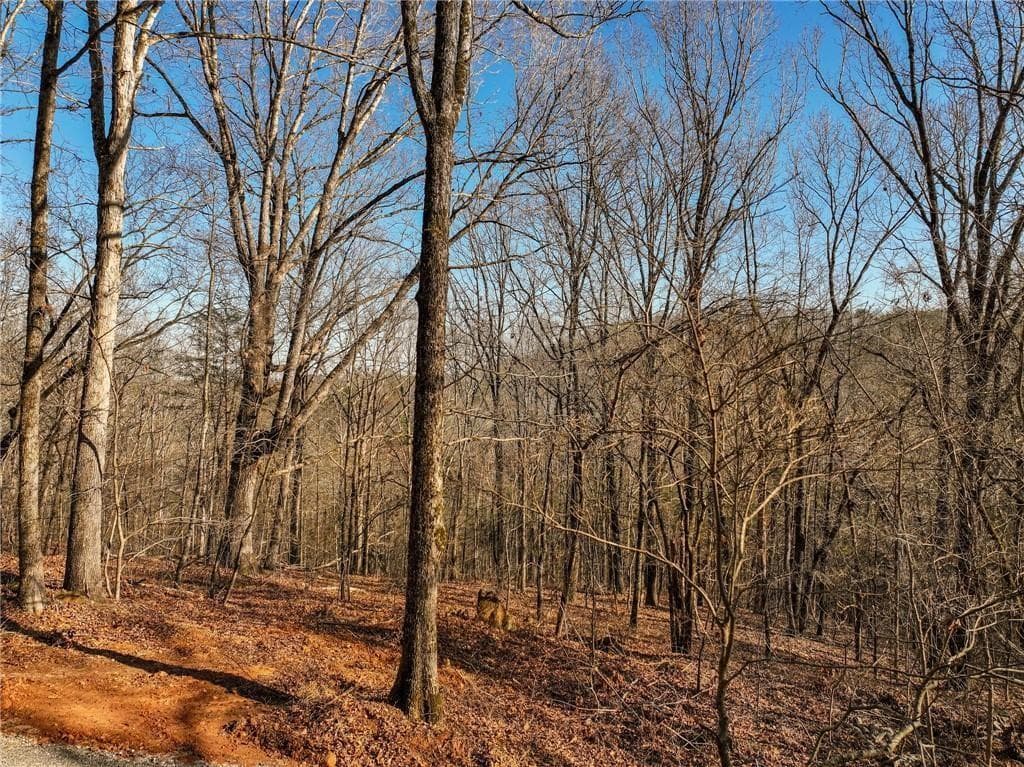 single family residence for sale at Lot 11 Mount Mincie Road, Murrayville, GA 30564 — photo 8