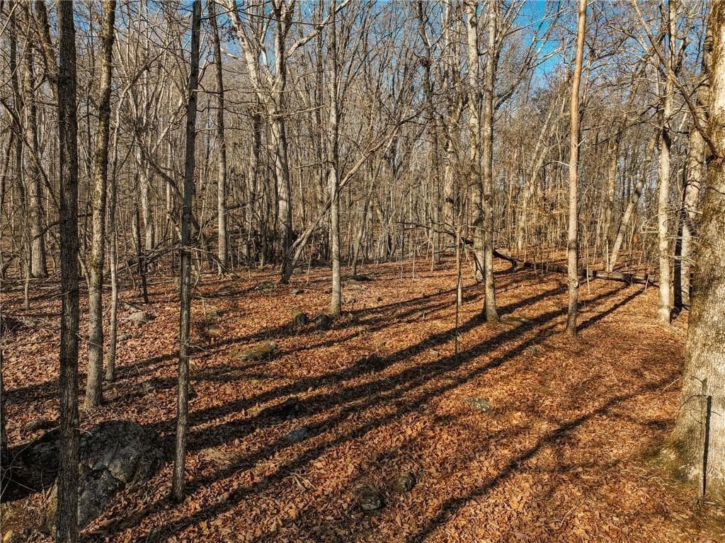 single family residence for sale at Lot 11 Mount Mincie Road, Murrayville, GA 30564 — photo 9