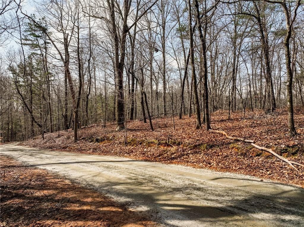 single family residence for sale at Lot 12 Mount Mincie Road, Murrayville, GA 30564 — photo 6