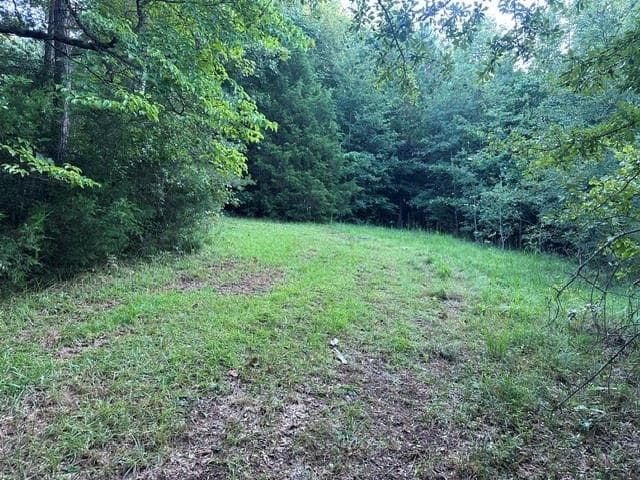 3 bedroom, 2 bathroom, 1,537 sq ft single family residence for sale at 1069 Harbert Valley Road, Toccoa, GA 30577 — photo 4