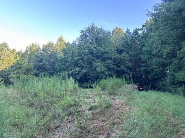 3 bedroom, 2 bathroom, 1,537 sq ft single family residence for sale at 1069 Harbert Valley Road, Toccoa, GA 30577 — photo 5