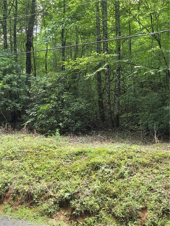 unimproved land for sale at 00 Chopped Oak Road, Ellijay, GA 30540 — photo 1 of 17