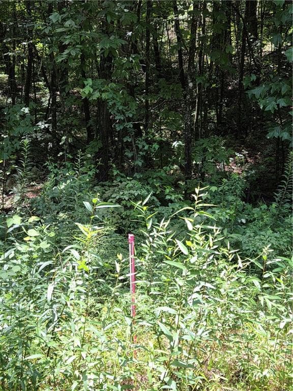 unimproved land for sale at 00 Chopped Oak Road, Ellijay, GA 30540 — photo 2