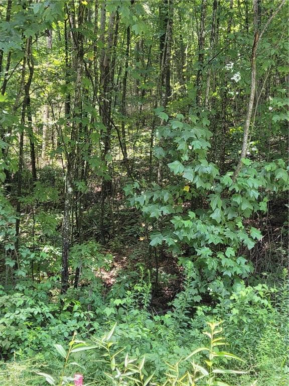 unimproved land for sale at 00 Chopped Oak Road, Ellijay, GA 30540 — photo 3