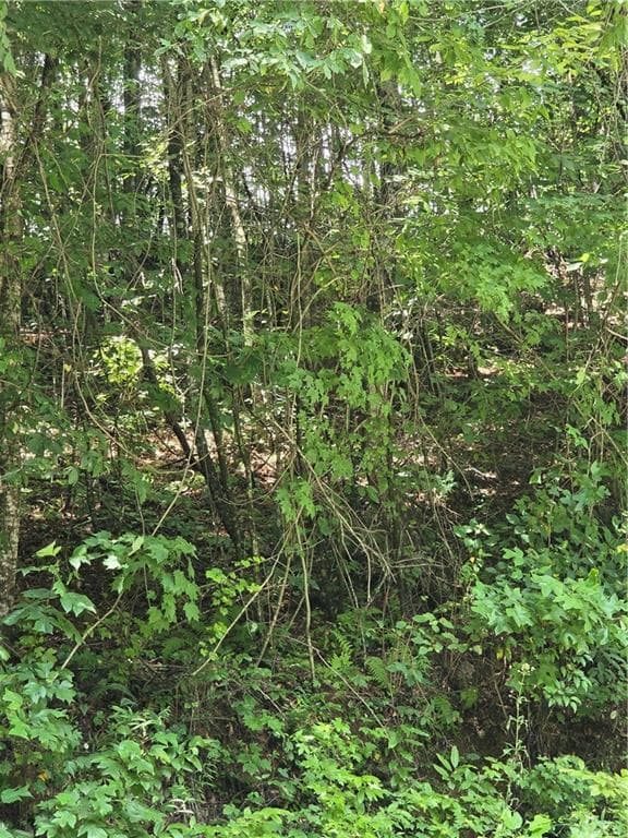 unimproved land for sale at 00 Chopped Oak Road, Ellijay, GA 30540 — photo 4