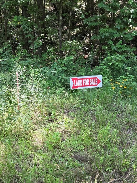 unimproved land for sale at 00 Chopped Oak Road, Ellijay, GA 30540 — photo 5