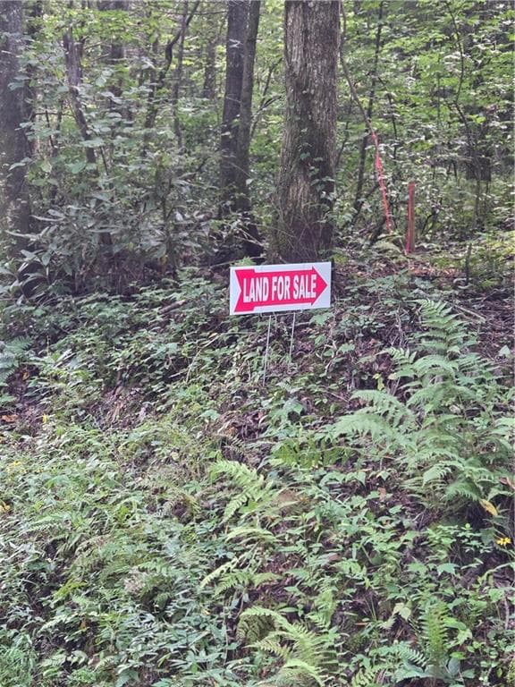 unimproved land for sale at 00 Chopped Oak Road, Ellijay, GA 30540 — photo 6