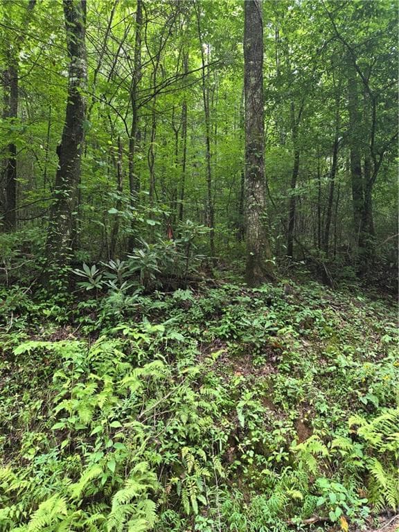 unimproved land for sale at 00 Chopped Oak Road, Ellijay, GA 30540 — photo 7
