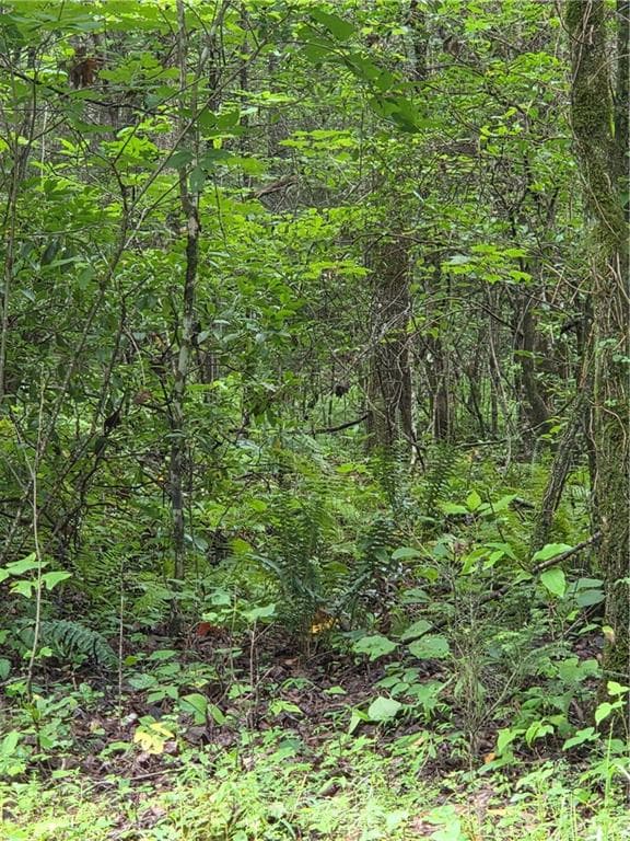 unimproved land for sale at 00 Chopped Oak Road, Ellijay, GA 30540 — photo 10