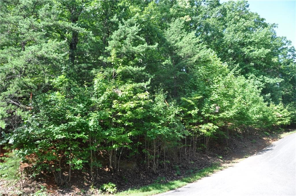 single family residence for sale at 8261 Cox Mountain Drive, Big Canoe, GA 30143 — photo 3
