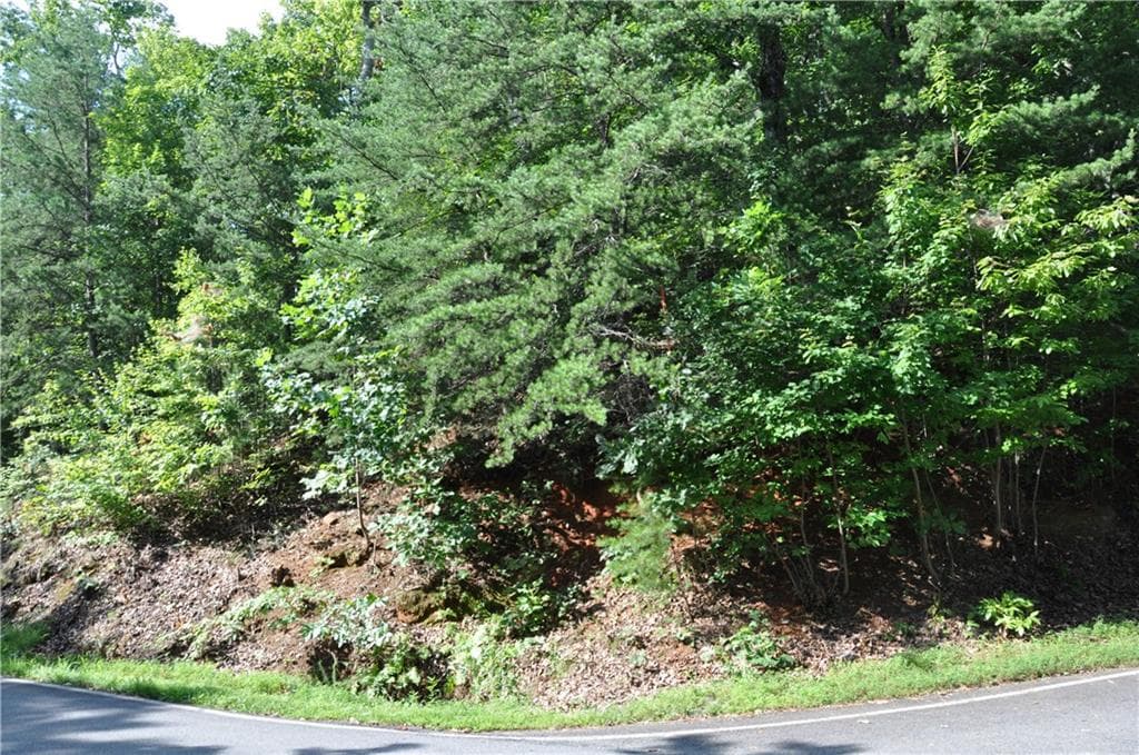 single family residence for sale at 8261 Cox Mountain Drive, Big Canoe, GA 30143 — photo 6