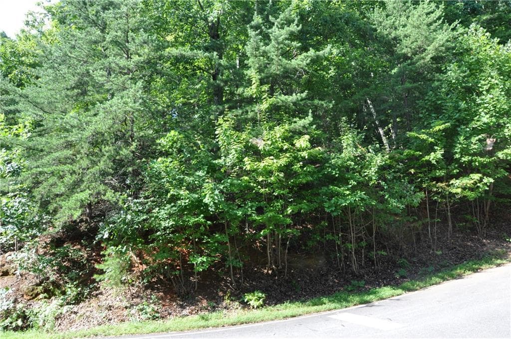 single family residence for sale at 8261 Cox Mountain Drive, Big Canoe, GA 30143 — photo 9