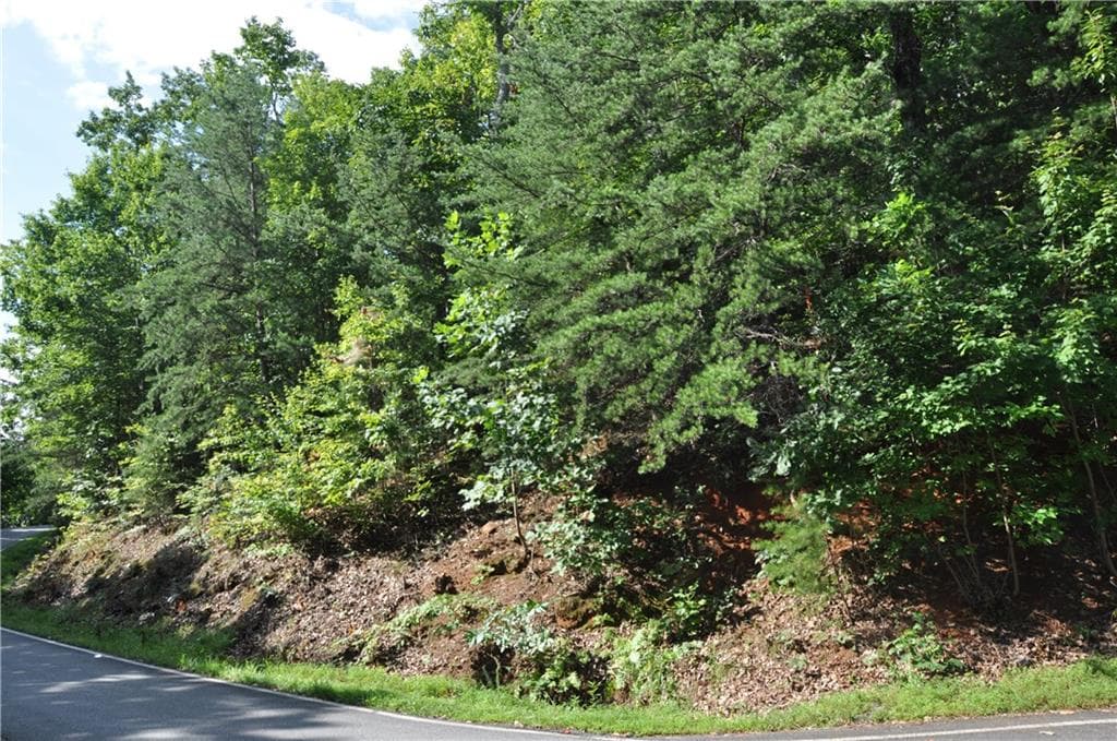 single family residence for sale at 8261 Cox Mountain Drive, Big Canoe, GA 30143 — photo 10