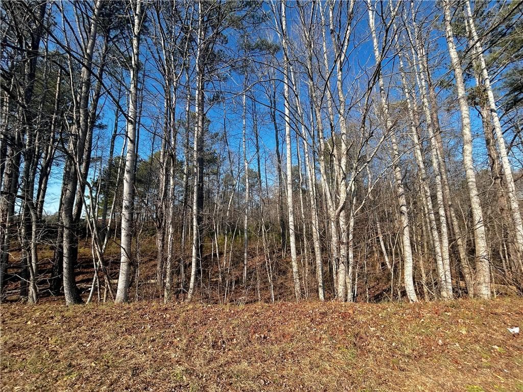 single family residence for sale at 2013 Lake Paradise Road, Villa Rica, GA 30180 — photo 2