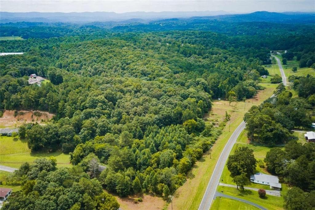 other for sale at 1910 Ridgeway Road, Trion, GA 30753 — photo 6