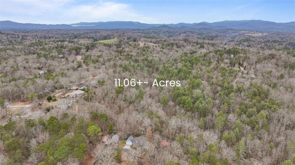 unimproved land for sale at 00 Timberland Drive, Ellijay, GA 30540 — photo 2