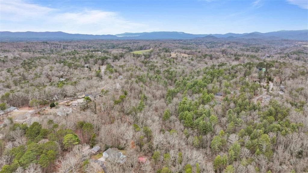 unimproved land for sale at 00 Timberland Drive, Ellijay, GA 30540 — photo 5