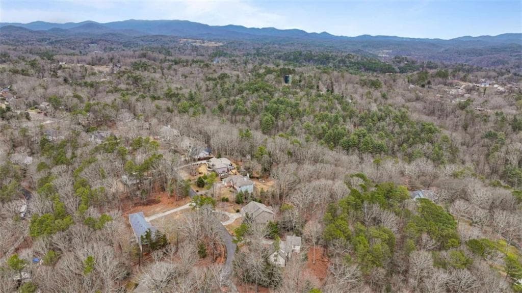 unimproved land for sale at 00 Timberland Drive, Ellijay, GA 30540 — photo 8