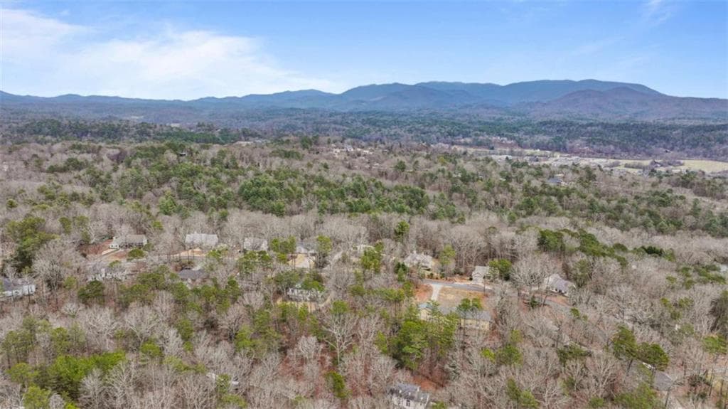 unimproved land for sale at 00 Timberland Drive, Ellijay, GA 30540 — photo 10