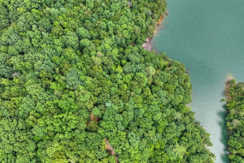 unimproved land for sale at LT 60 Necowa Cove Overlook, Blue Ridge, GA 30513 — photo 4