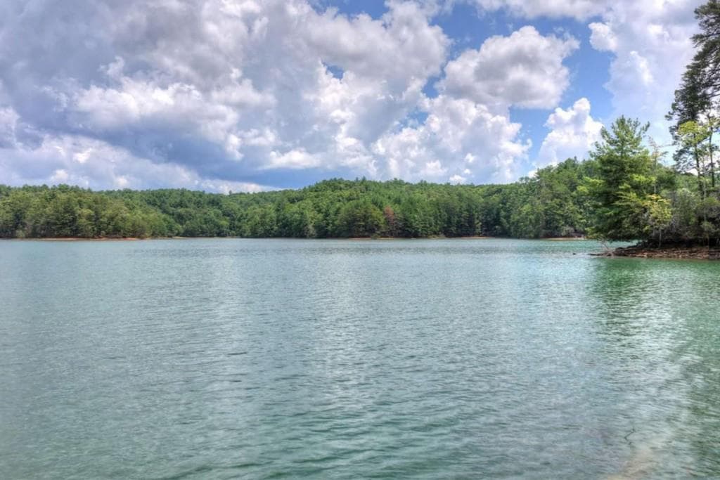 unimproved land for sale at LT 60 Necowa Cove Overlook, Blue Ridge, GA 30513 — photo 5