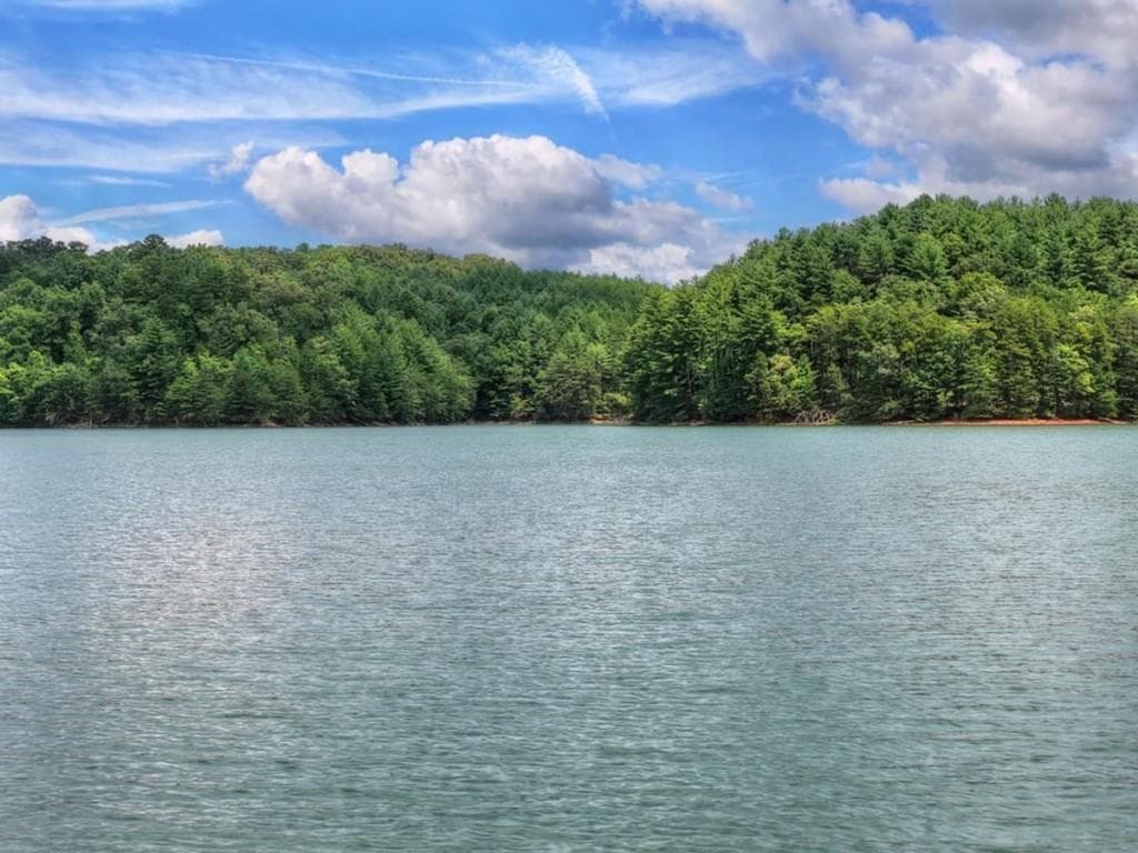 unimproved land for sale at LT 60 Necowa Cove Overlook, Blue Ridge, GA 30513 — photo 6