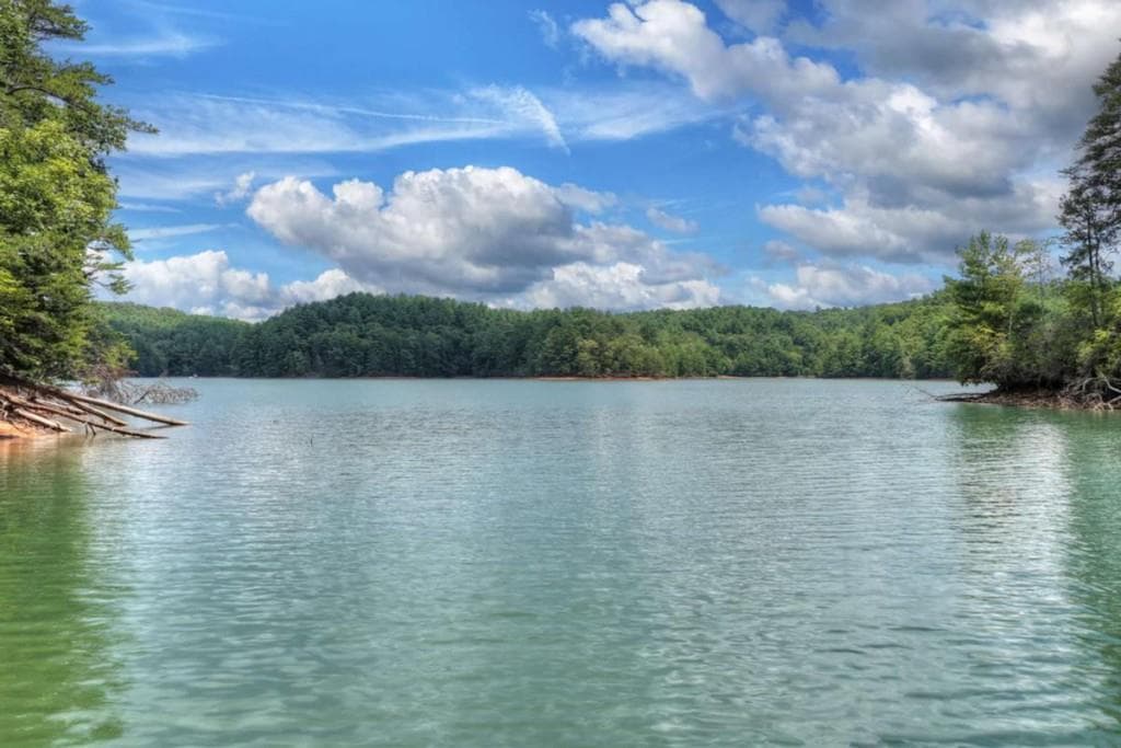 unimproved land for sale at LT 60 Necowa Cove Overlook, Blue Ridge, GA 30513 — photo 7