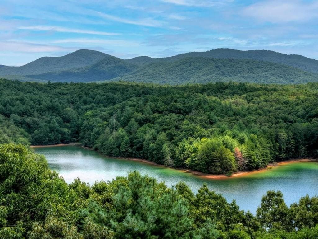 unimproved land for sale at LT 60 Necowa Cove Overlook, Blue Ridge, GA 30513 — photo 8