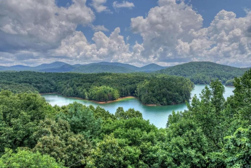 unimproved land for sale at LT 60 Necowa Cove Overlook, Blue Ridge, GA 30513 — photo 9