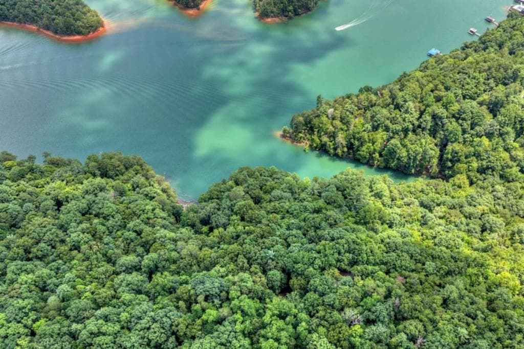 unimproved land for sale at LT 60 Necowa Cove Overlook, Blue Ridge, GA 30513 — photo 10