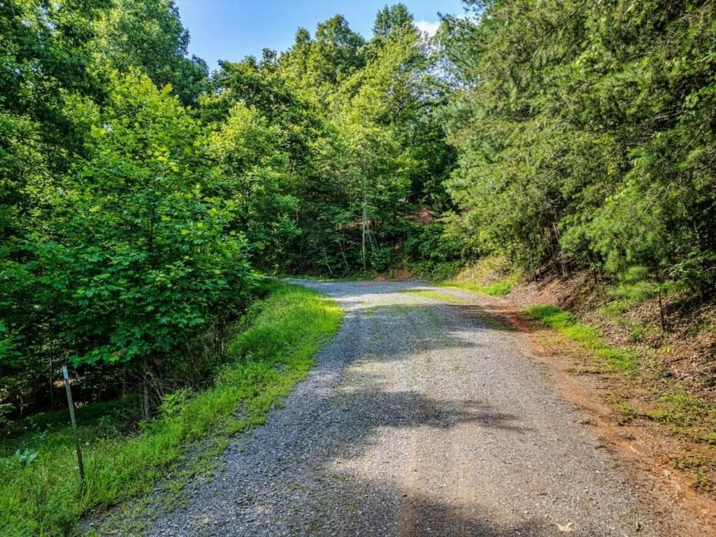 unimproved land for sale at LOT 26 Toccoa Preserve, Blue Ridge, GA 30513 — photo 10