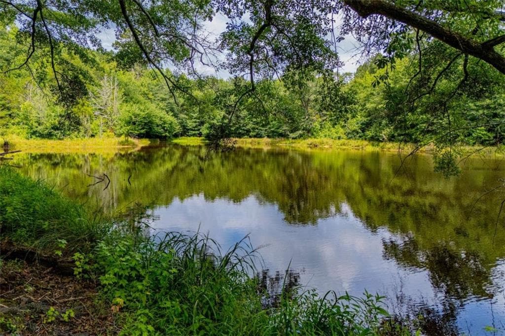 other for sale at 2103 Carrollton Highway, Temple, GA 30179 — photo 3