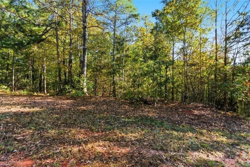 unimproved land for sale at 7794 Gusty Trail, Douglasville, GA 30135 — photo 3