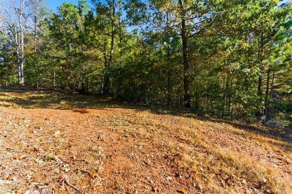 unimproved land for sale at 7794 Gusty Trail, Douglasville, GA 30135 — photo 7