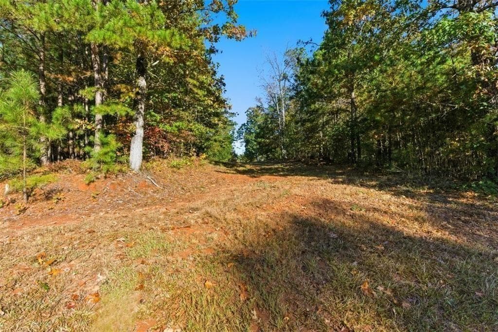 unimproved land for sale at 7794 Gusty Trail, Douglasville, GA 30135 — photo 9