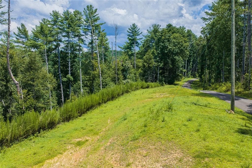 unimproved land for sale at 0 Hicks Ford Road, Ellijay, GA 30540 — photo 3