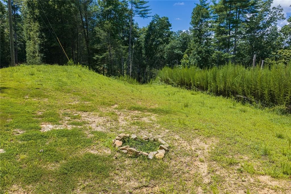 unimproved land for sale at 0 Hicks Ford Road, Ellijay, GA 30540 — photo 5