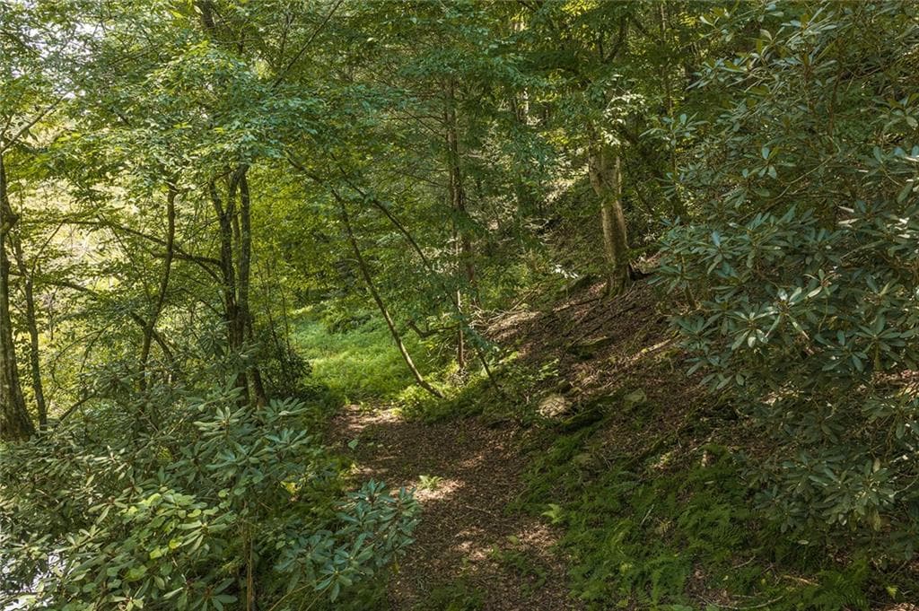 unimproved land for sale at 0 Hicks Ford Road, Ellijay, GA 30540 — photo 8
