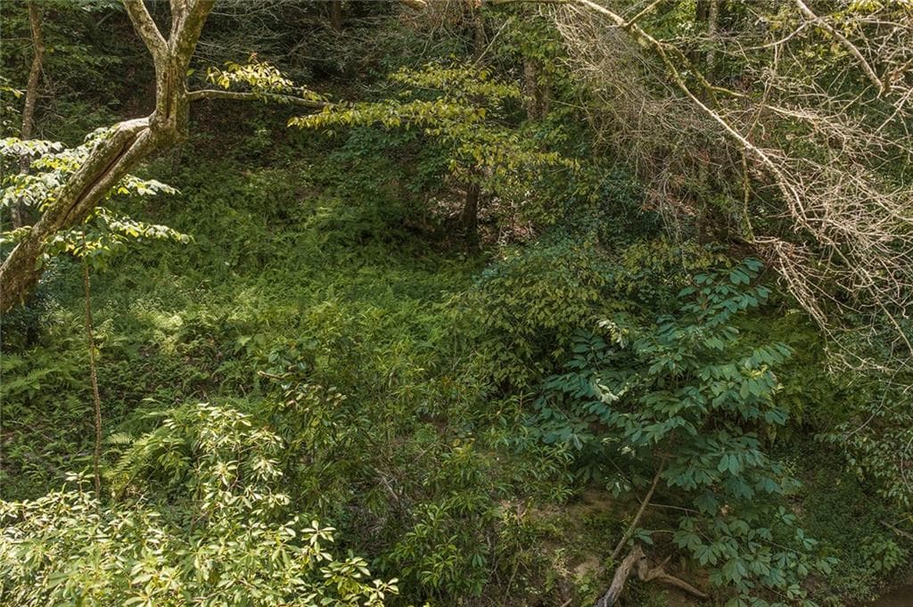 unimproved land for sale at 0 Hicks Ford Road, Ellijay, GA 30540 — photo 10