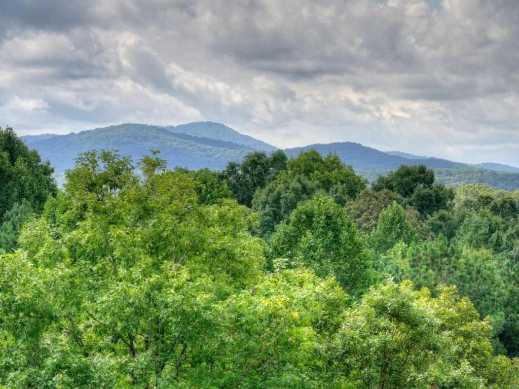 3 bedroom, 2 bathroom, 2,448 sq ft single family residence for sale at 214 Ethan Wilson Way, Morganton, GA 30560 — photo 2