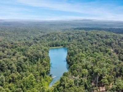 single family residence for sale at 0 Canoe Point, Ellijay, GA 30540 — photo 8