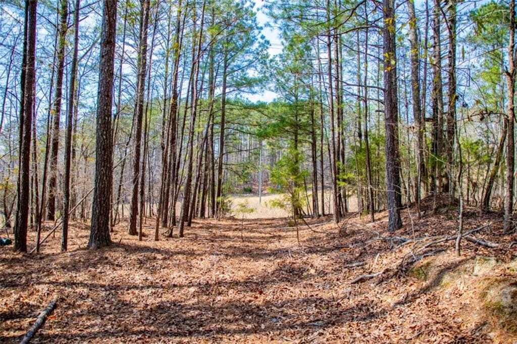 home for sale at 3940 Clinton Court, Villa Rica, GA