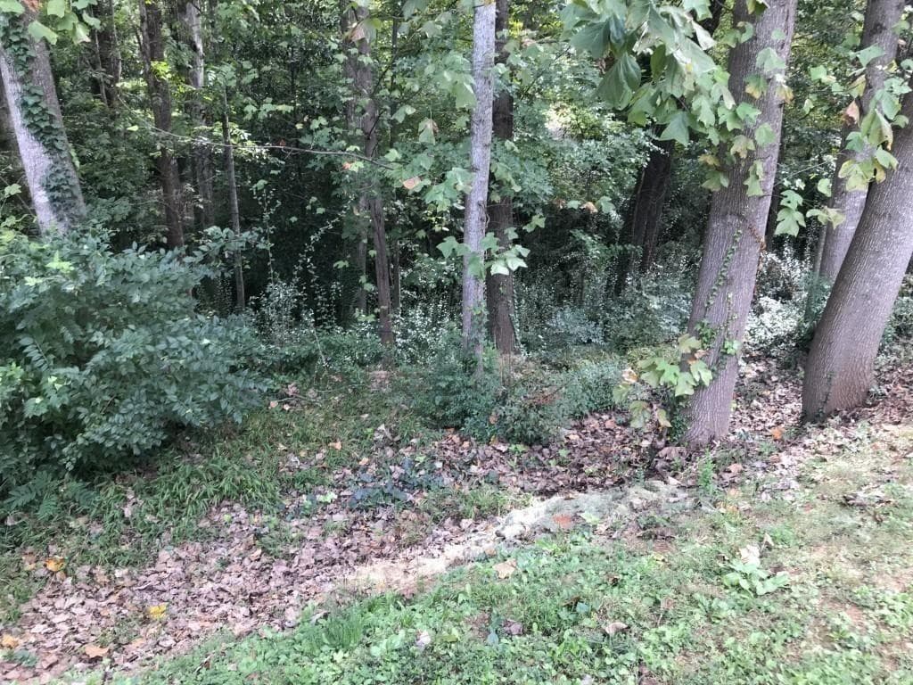 unimproved land for sale at 4118 W Johnson Circle, Atlanta, GA 30096 — photo 3