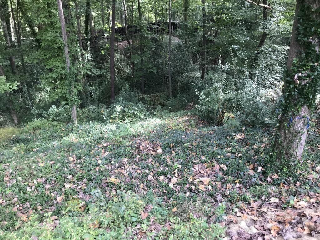 unimproved land for sale at 4118 W Johnson Circle, Atlanta, GA 30096 — photo 4