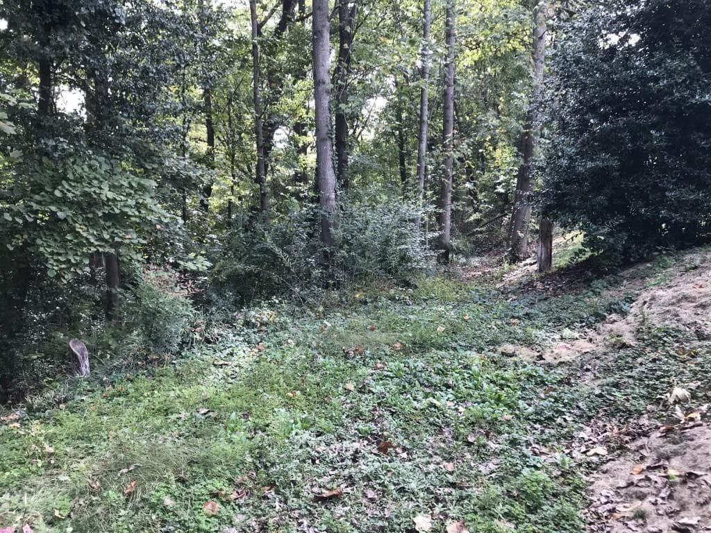 unimproved land for sale at 4118 W Johnson Circle, Atlanta, GA 30096 — photo 5