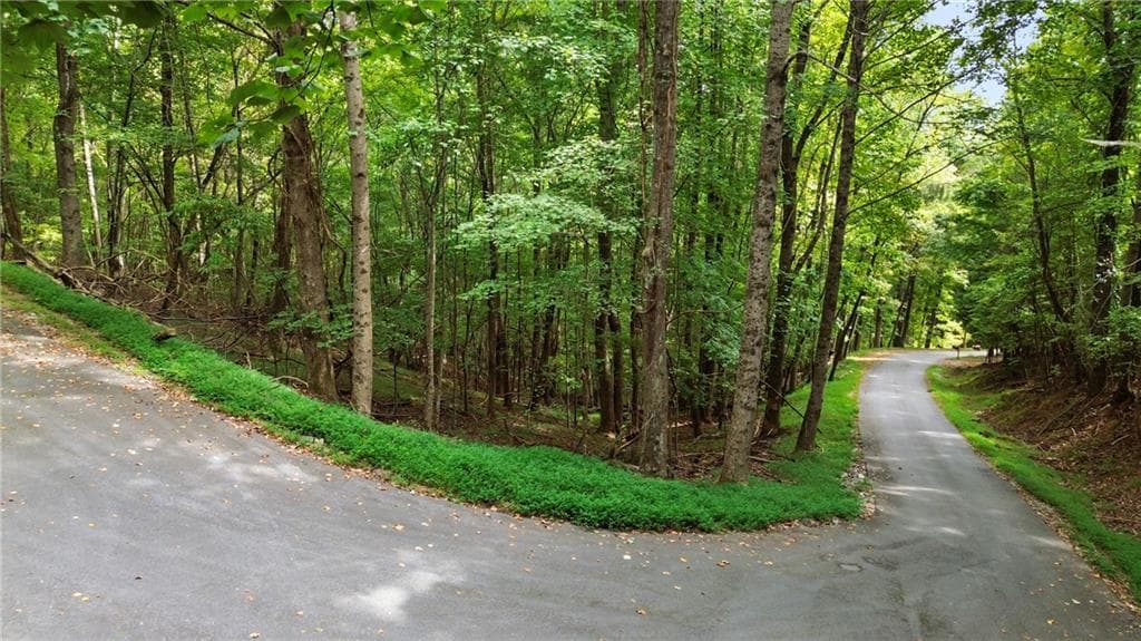 single family residence for sale at 0 Sal Mountain Way, Sautee Nacoochee, GA 30571 — photo 2