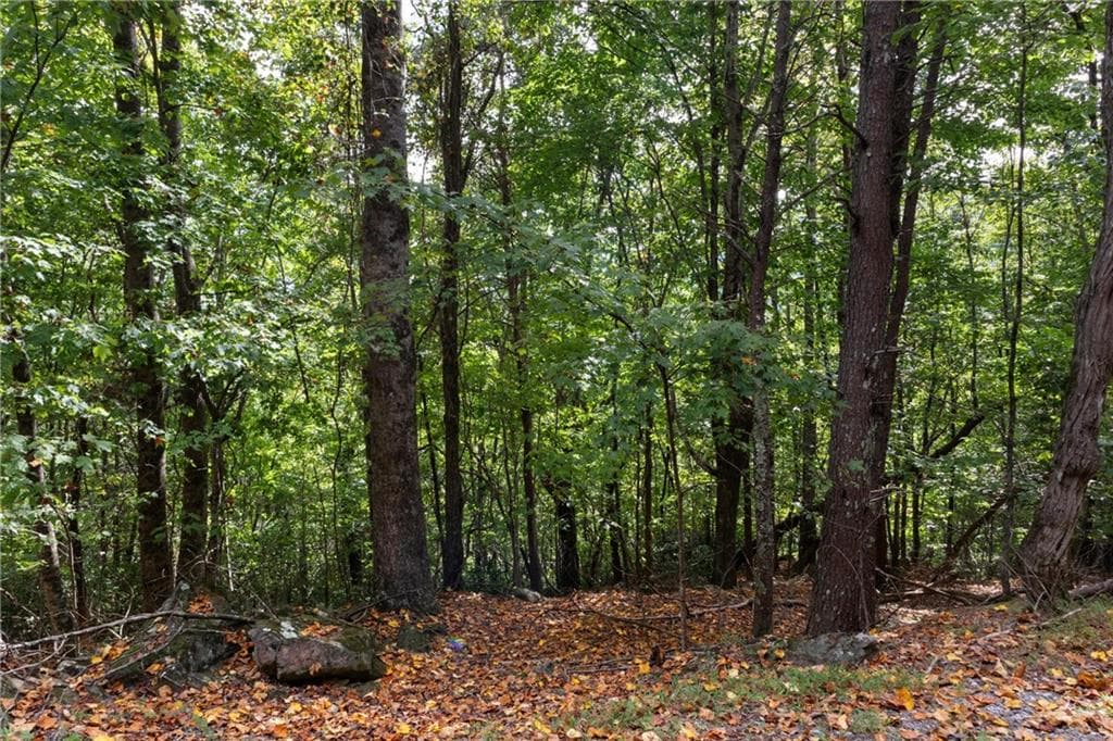 single family residence for sale at 0 Sal Mountain Way, Sautee Nacoochee, GA 30571 — photo 7