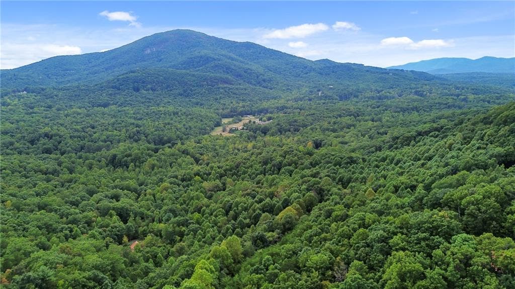 single family residence for sale at 0 Sal Mountain Way, Sautee Nacoochee, GA 30571 — photo 10