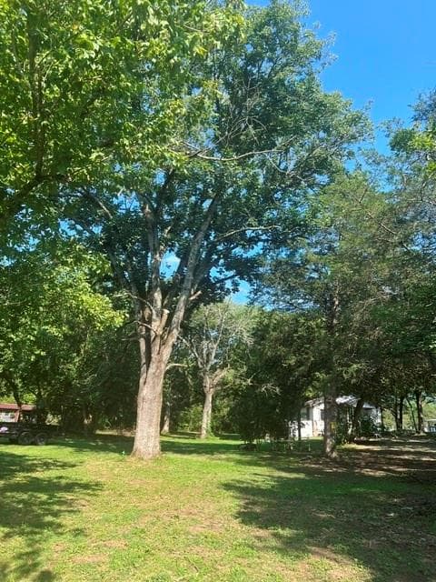 2 bedroom, 1 bathroom, 840 sq ft single family residence under contract at 2119 Ooltewah Ringgold Road, Ringgold, GA 30736 — photo 4