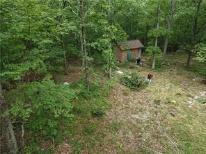 unimproved land for sale at 0 Galway Lot # 144 Drive, Kingston, GA 30145 — photo 4